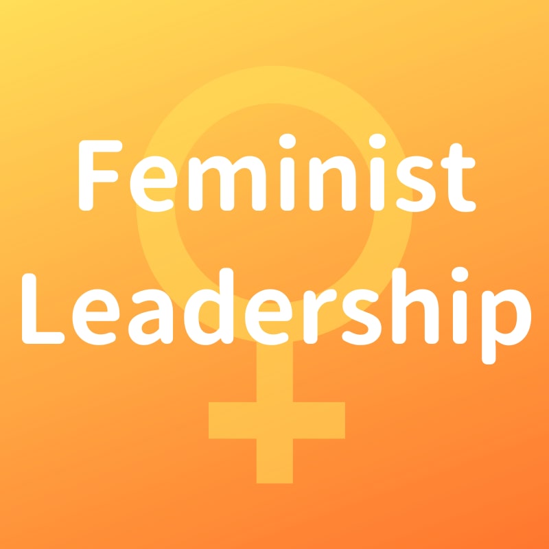 Feminist Leadership programme 2019-2020